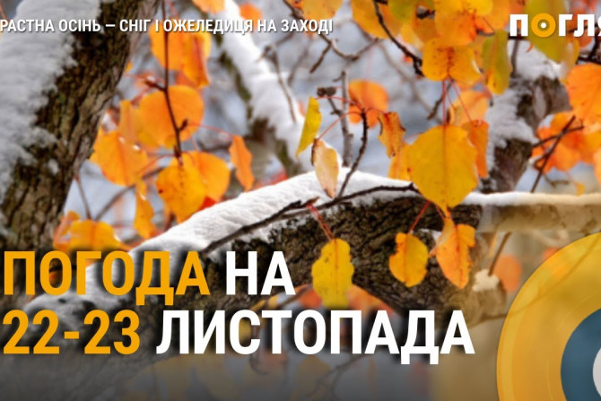 Погляд — новини Київщини онлайн - a069c502-d7af-43c1-8184-3efc0066ad0a - зображення